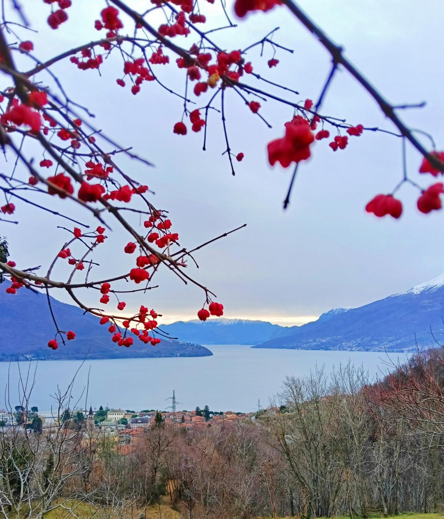 Lake Como Borgo Vignola Cremia Εξωτερικό φωτογραφία